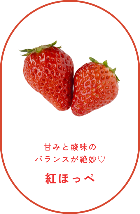 紅ほっぺ