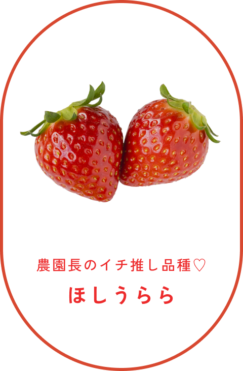 ほしうらら