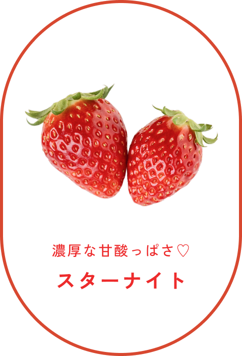 スターナイト