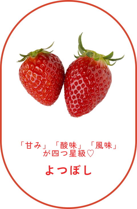 よつぼし